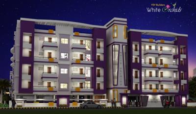  white-orchids Images for Elevation of VSV White Orchids