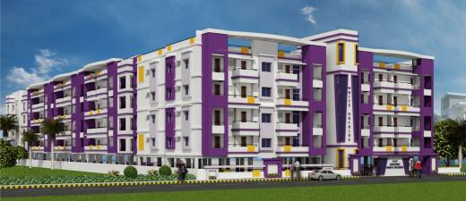 white-orchids Images for Elevation of VSV White Orchids Images for Elevation of VSV White Orchids