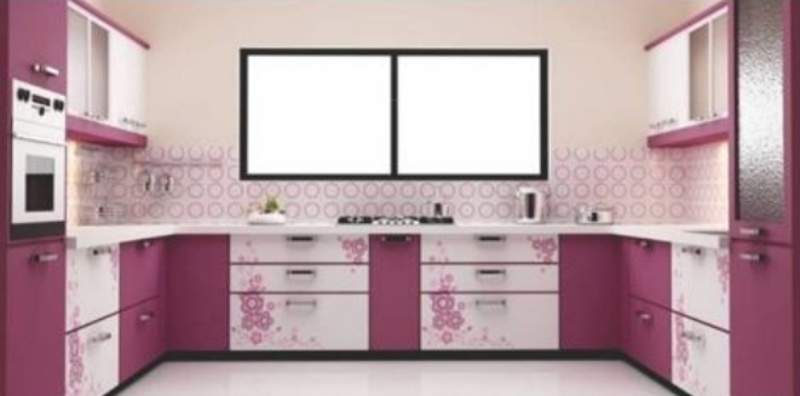  white orchids Images for Main Other of VSV White Orchids