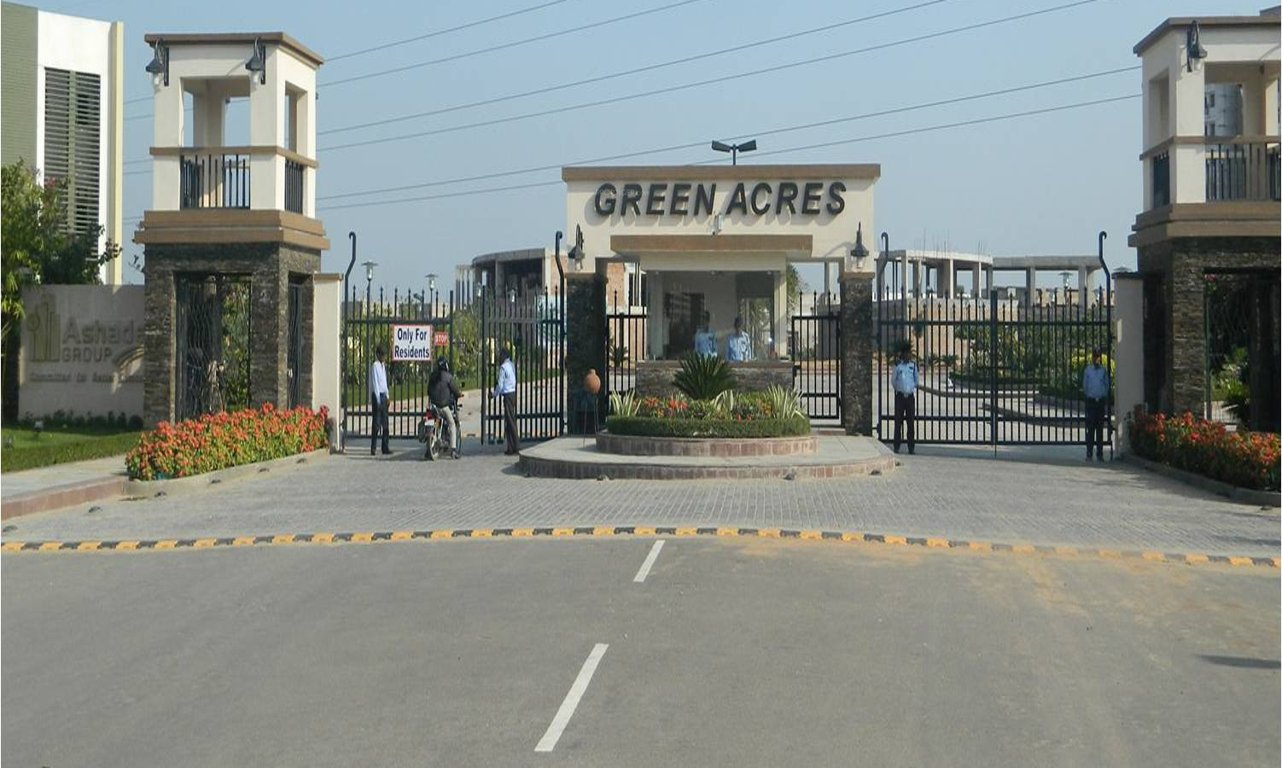 Images for Main Other of Ashadeep Lavender