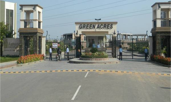 Images for Main Other of Ashadeep Lavender Images for Main Other of Ashadeep Lavender