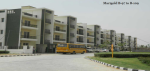 Images for Elevation of Ashadeep Marigold