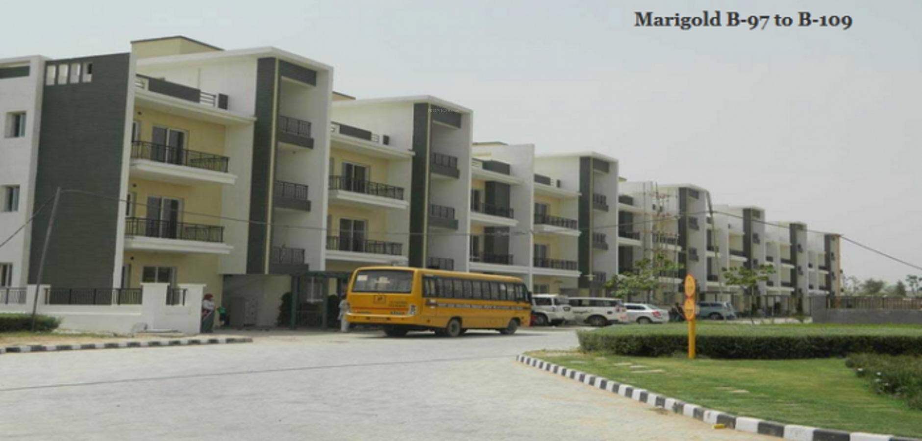 Images for Elevation of Ashadeep Marigold