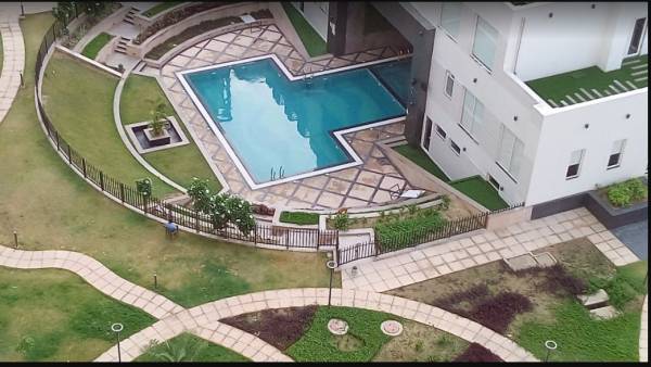 Others celebrity-greens Others