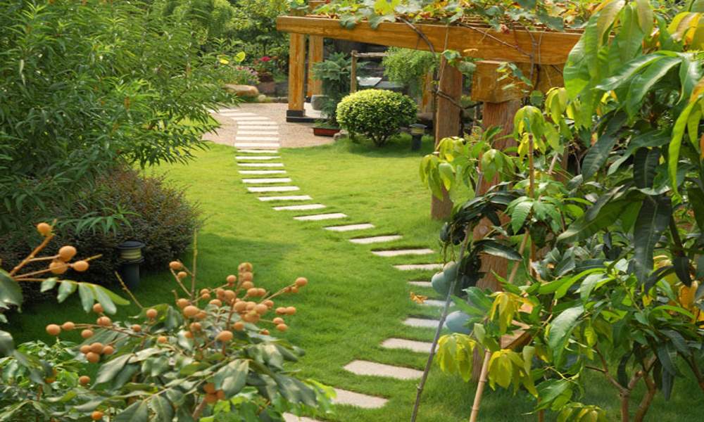 Images for Amenities of Charms Park