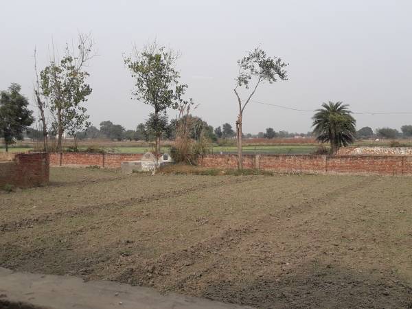 Images for mainOther