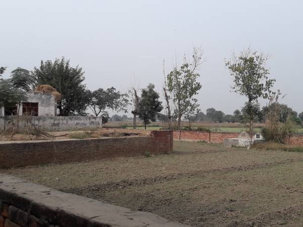 Images for mainOther