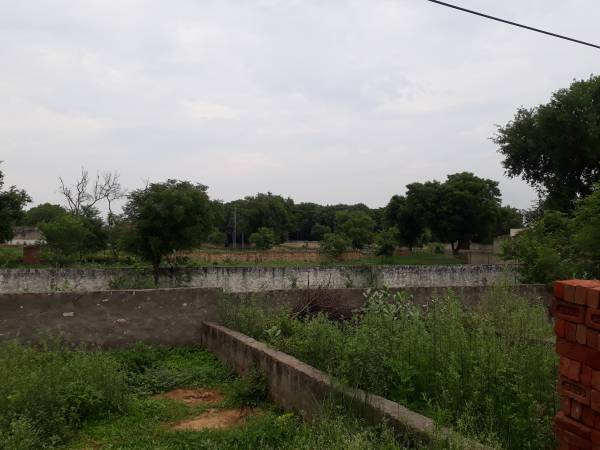 Images for Project Images for Project