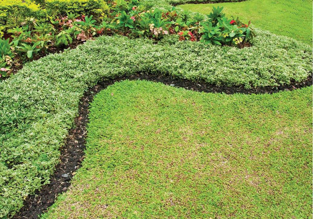 Images for Amenities of G Corp Mahalakshmi