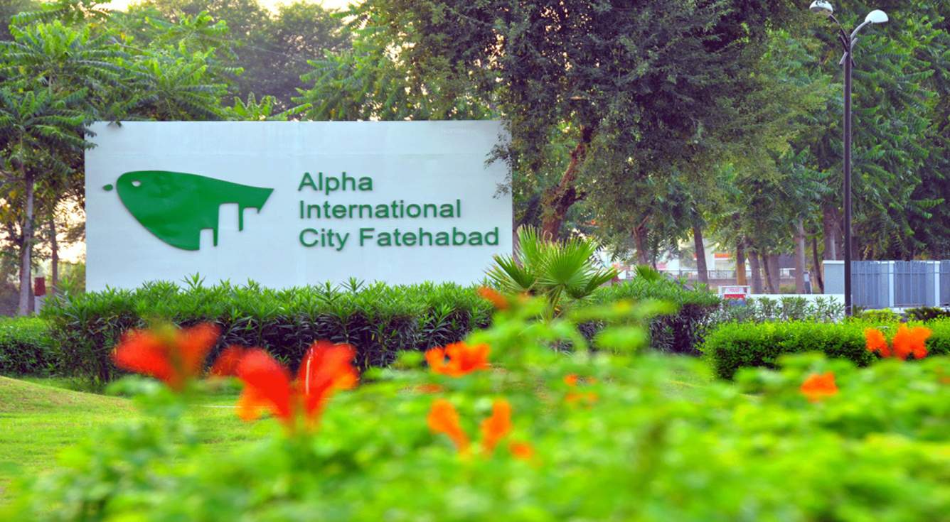 Images for Main Other of Alpha G Corp Alpha International City