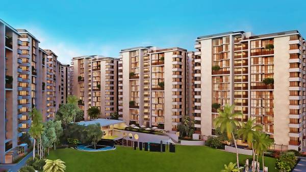 Images for Elevation of Ganesh Maple Tree