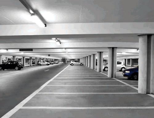 Images for Amenities of Ganesh Maple Tree