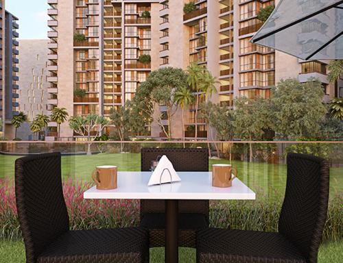 Images for Main Other of Ganesh Maple Tree