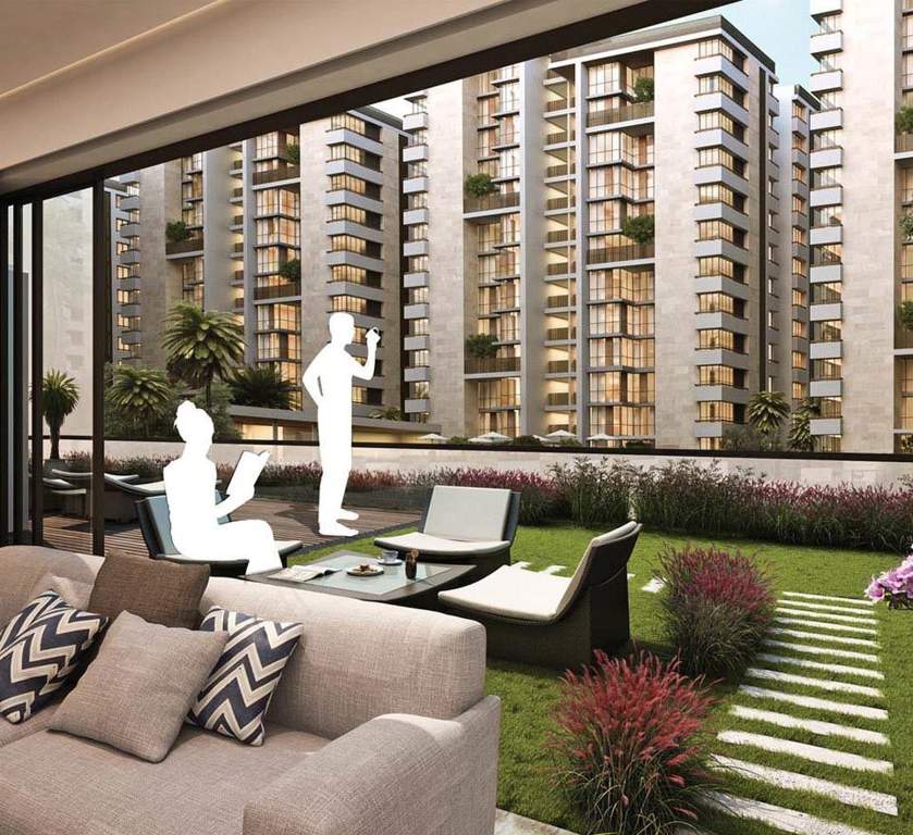 Images for Main Other of Ganesh Maple Tree