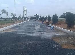 Images for mainOther