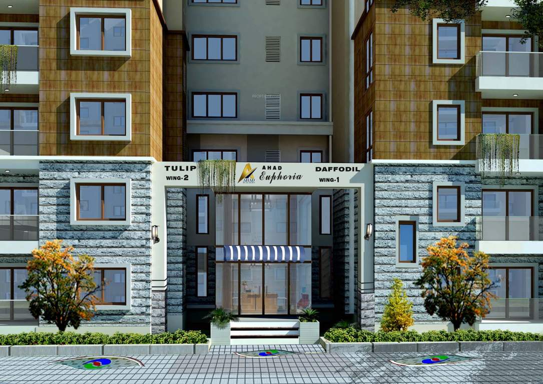  euphoria Images for Elevation of Ahad Euphoria