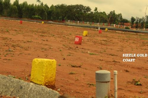  gold-coast Images for Amenities of Sizzle Gold Coast