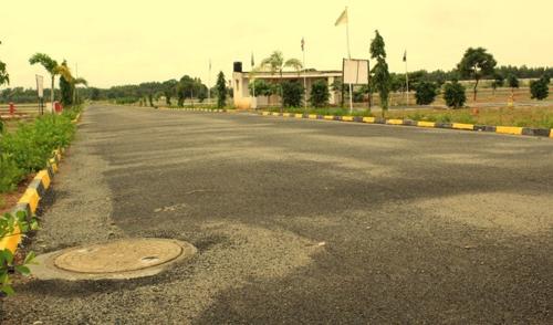  gold-coast Images for Main Other of Sizzle Gold Coast