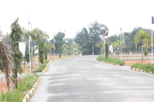  gold-coast Images for Main Other of Sizzle Gold Coast