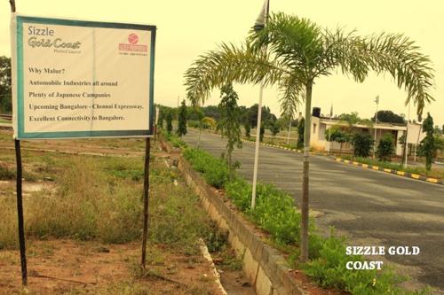  gold-coast Images for Main Other of Sizzle Gold Coast