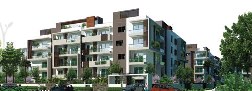 Images for Elevation of Pioneer Sun Blossom sun-blossom Images for Elevation of Pioneer Sun Blossom