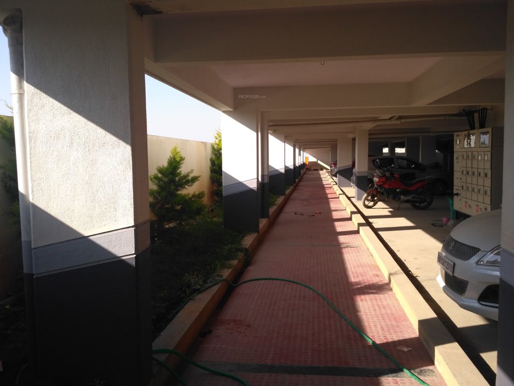  blossoms Jogging Track