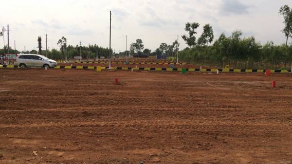 Images for Amenities of Taras Datri Golden Oak Images for Amenities of Taras Datri Golden Oak