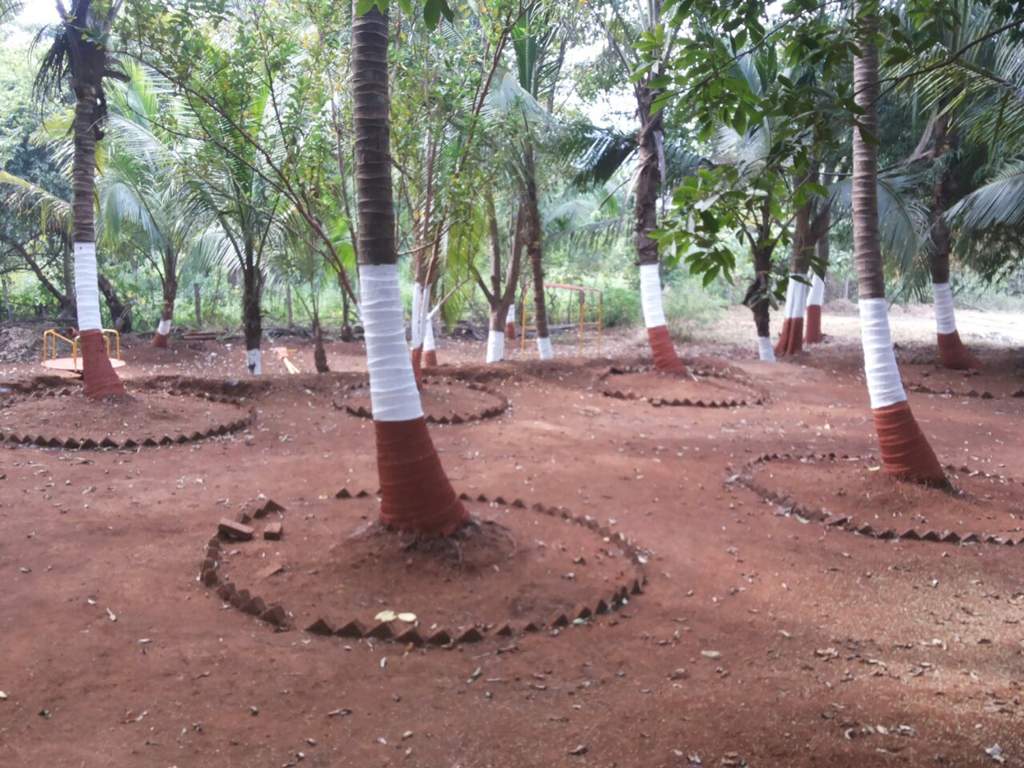 Images for Main Other of Wings Malgudi Farms