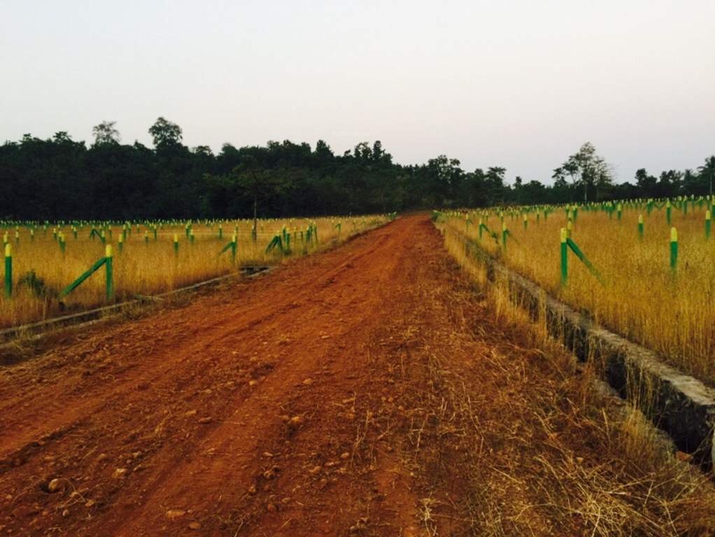 Images for Main Other of Wings Malgudi Farms