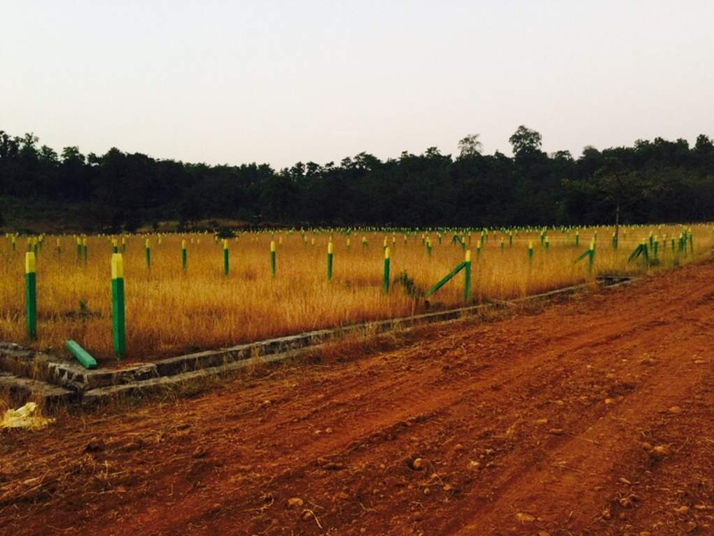 Images for Main Other of Wings Malgudi Farms