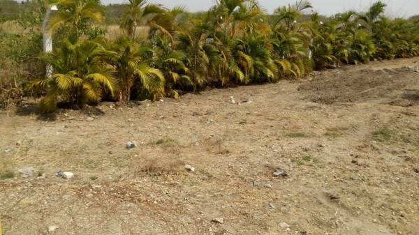 Images for Main Other of Greens Fields