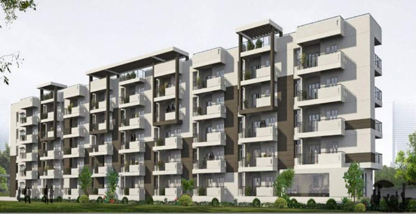  pride Images for Elevation of Vision Pride