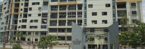 Images for Elevation of Falcon Retreat