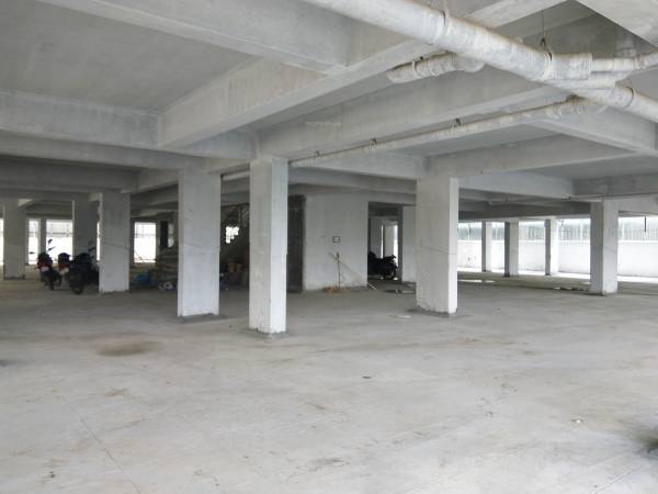  white-petals Car Parking