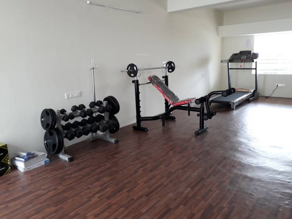  white petals Gymnasium