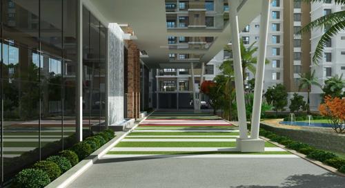 Senior Citizen Sitout aksha Senior Citizen Sitout