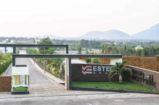 Project Image Project Image