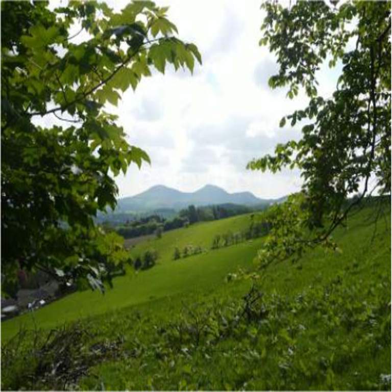  misty hills Images for Main Other of Esteem Misty Hills