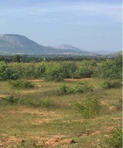  misty-hills Images for Main Other of Esteem Misty Hills