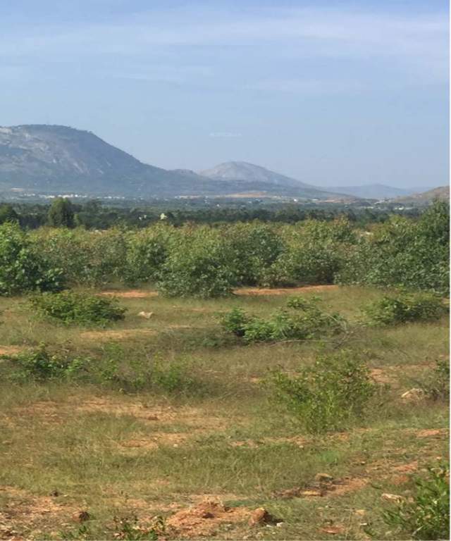  misty hills Images for Main Other of Esteem Misty Hills