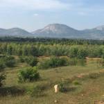  misty-hills Images for Main Other of Esteem Misty Hills