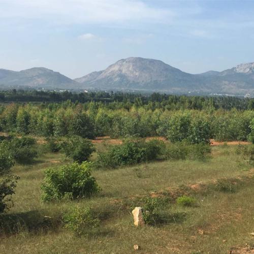  misty-hills Images for Main Other of Esteem Misty Hills