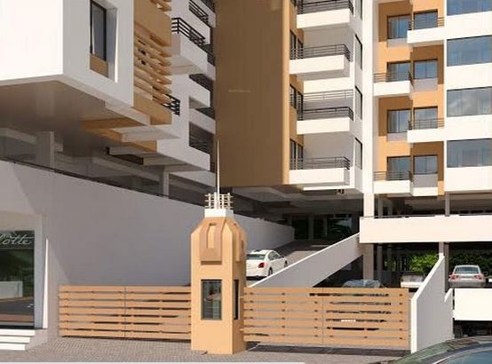  silver oak Elevation