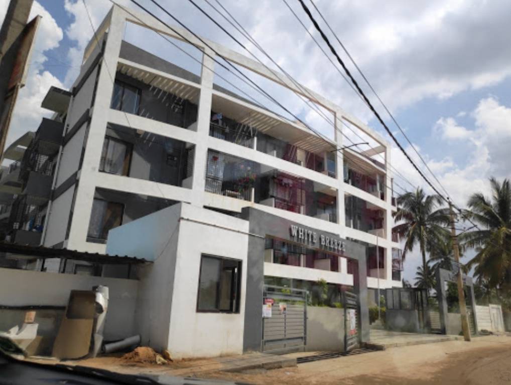 white breeze Elevation