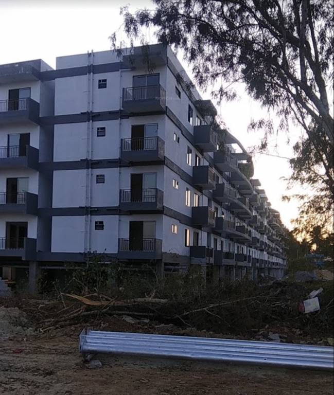 white breeze Elevation