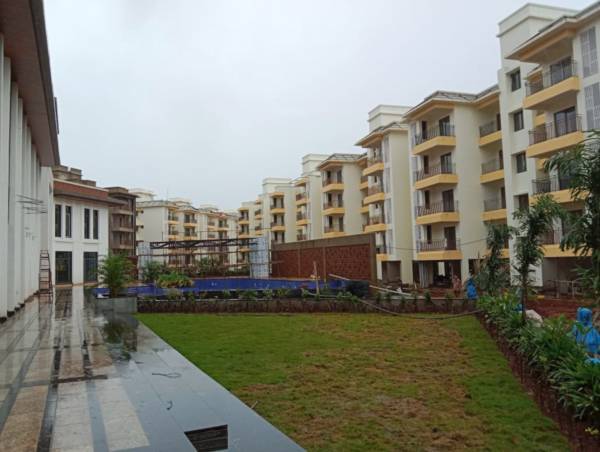 Elevation casa-amora Elevation