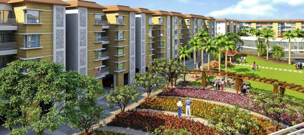 Elevation casa-amora Elevation