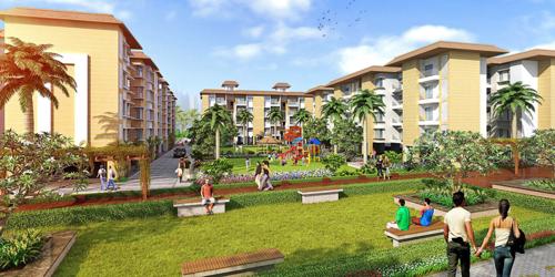 Landscape Garden and Tree Planting casa-amora Landscape Garden and Tree Planting