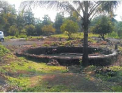 Images for Main Other of  Amrapali Park