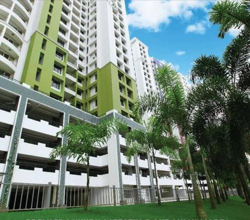  alisha Images for Elevation of Olive Alisha